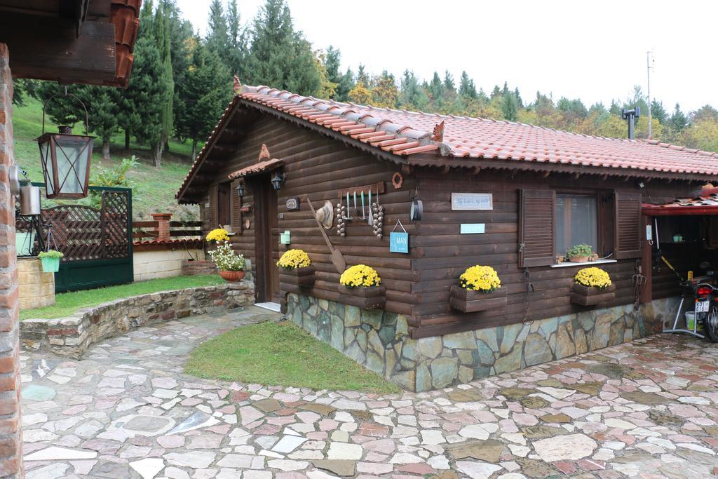 Traditional Guesthouse Trikala  Luaran gambar